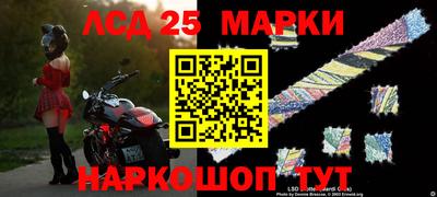 шишки Новозыбков