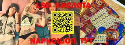 шишки Новозыбков