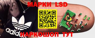 шишки Новозыбков