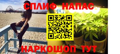 СК Новодвинск