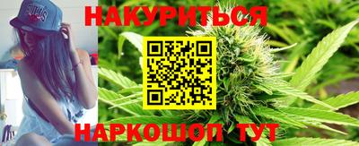 шишки Новозыбков