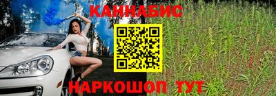 СК Новодвинск