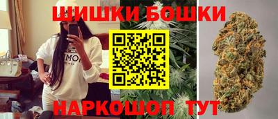 СК Новодвинск