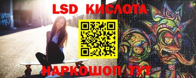 СК Новодвинск