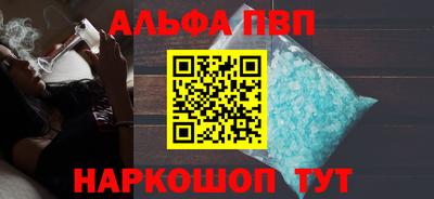 СК Новодвинск