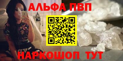 СК Новодвинск