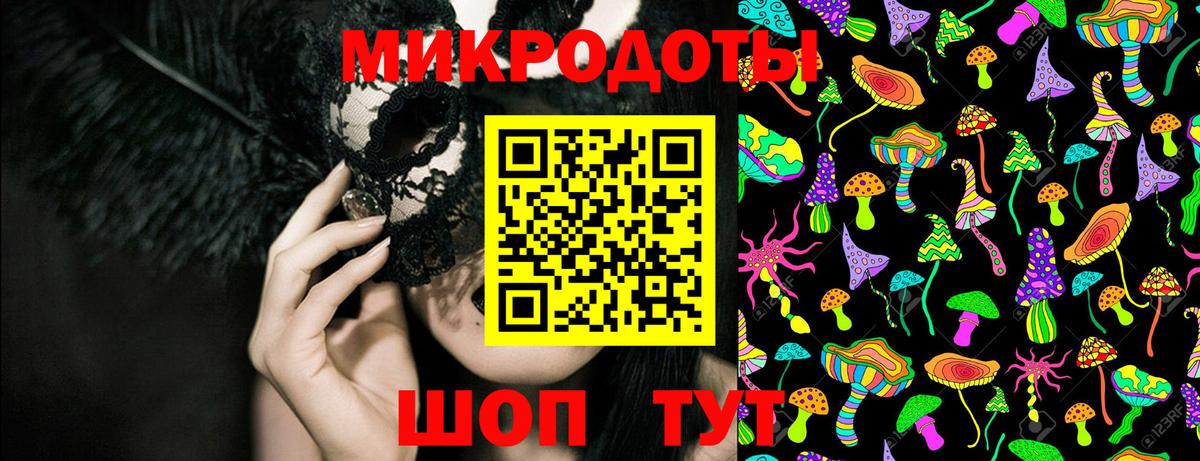 Псилоцибиновые грибы Psilocybe Тосно